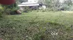 30 Lecha Touzi land Lumding Murabasti