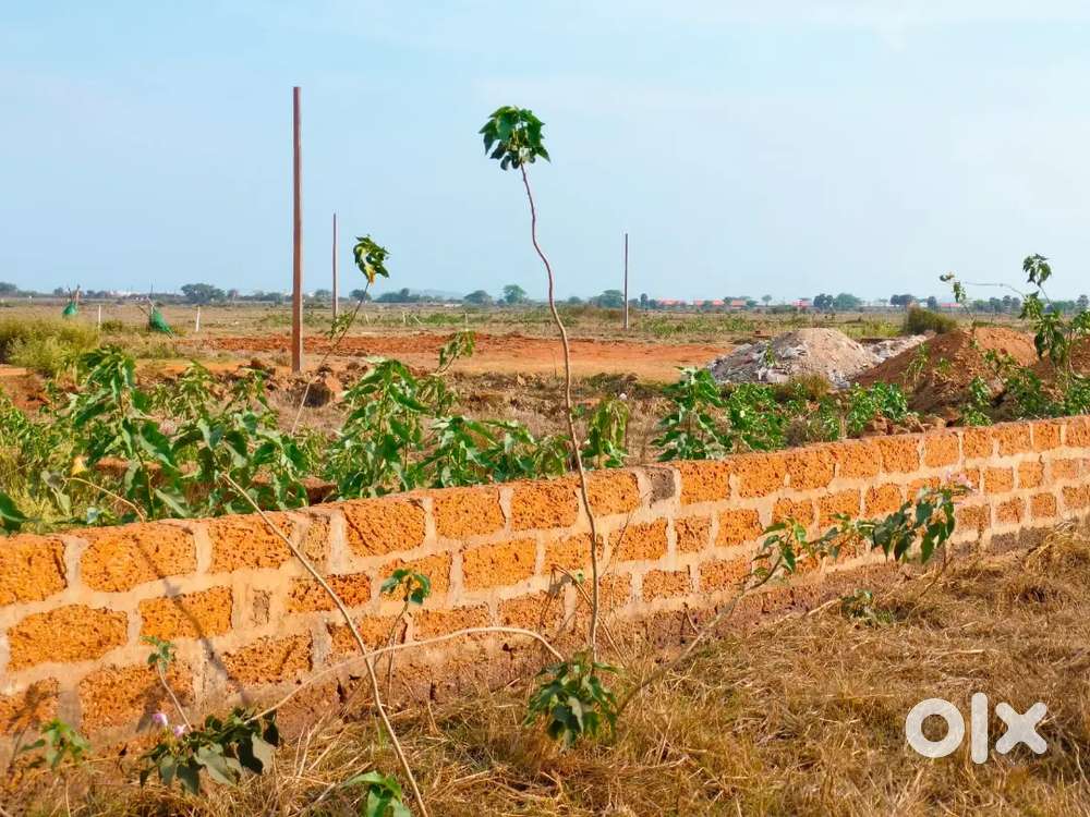 Polt for sale in Bhubaneswar