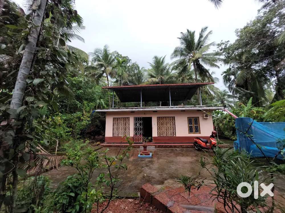 Land for sale in Vitla