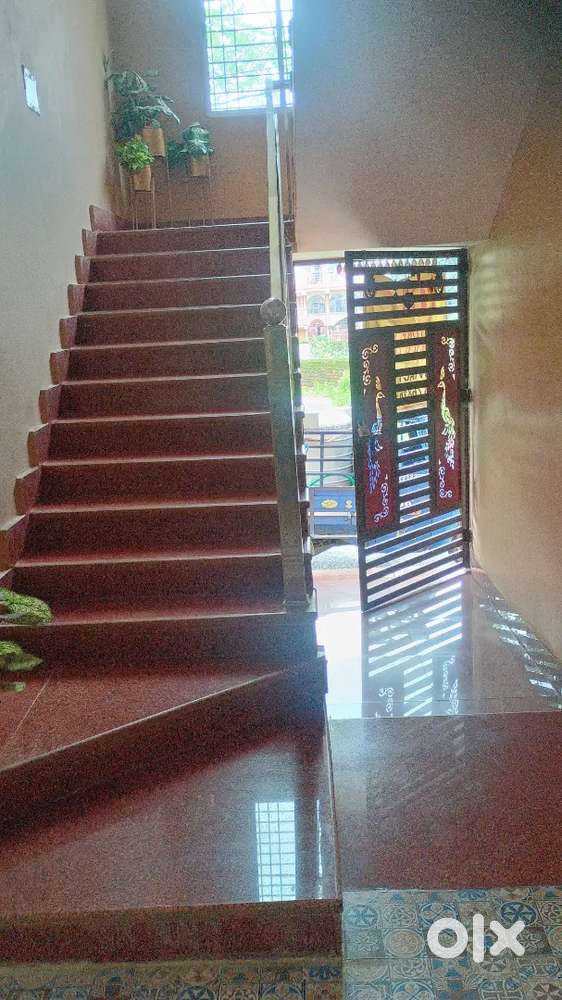 Newly built house in prime location