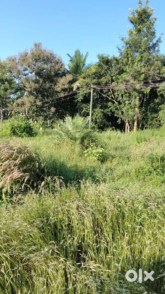 Site for sale Near BDA layout