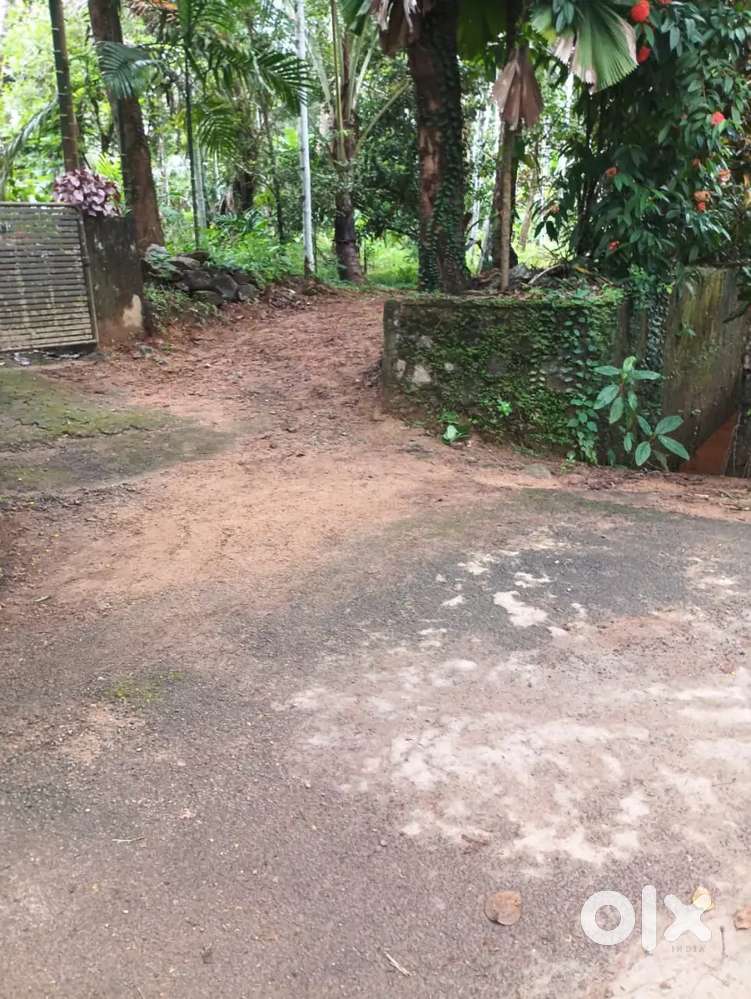 Plot for sale Vadakara Villiappally സ്ഥലം വില്പനക്ക്