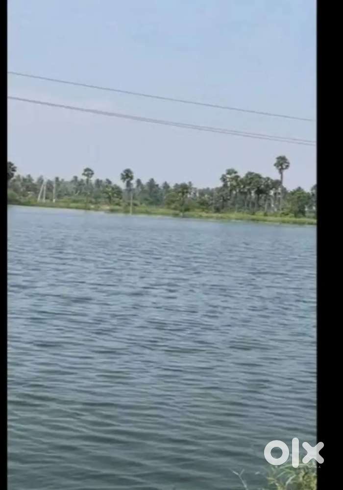 1acre fish pond  land for sale near anamanapudi (near polukonda)
