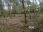 25 cent Plot for sale @ 90000/cent