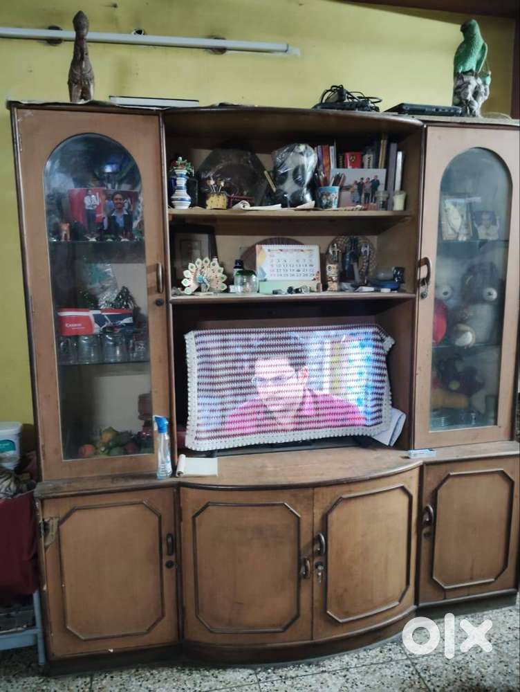 TV Cabinet cum Wadrobe (Excluding the TV)