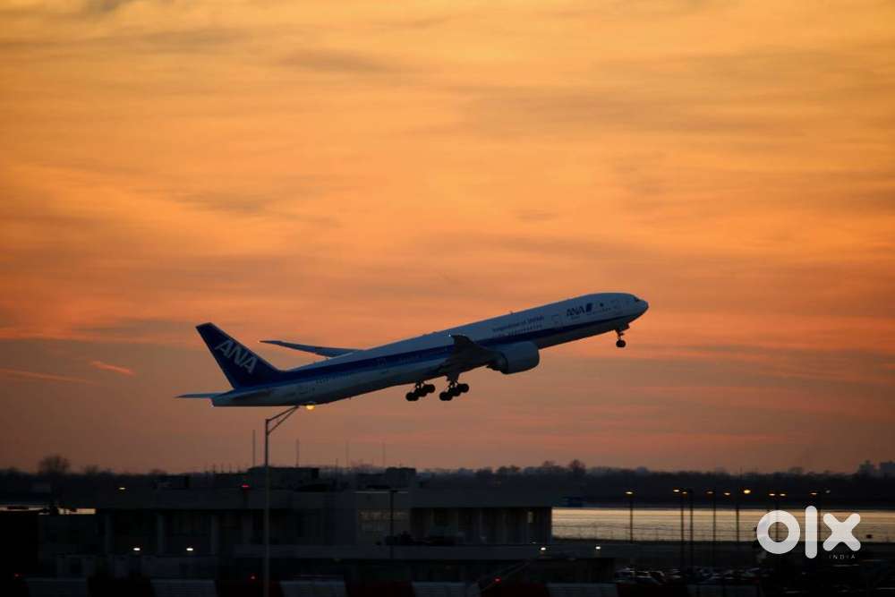 huryy up vacancies for ticketing executive and for ground staff