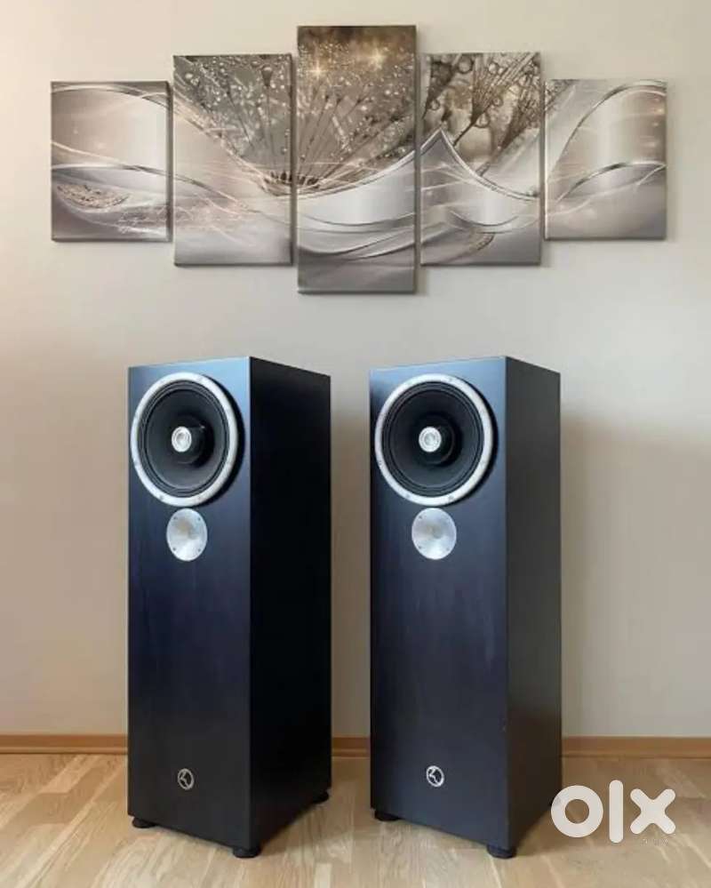 Zu Audio
The Omen

10 Inch Coaxial Driver
97 db
3 Feet Tall