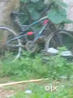 Rx2 sport bike