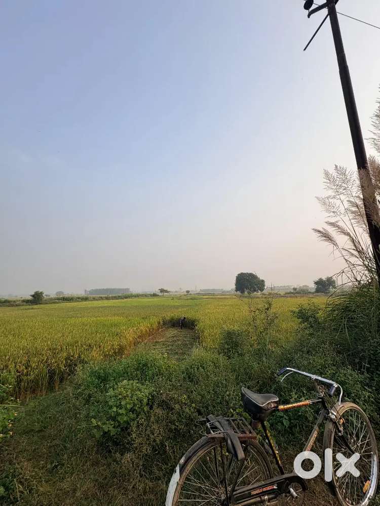 8 biswa Urgent land for sell