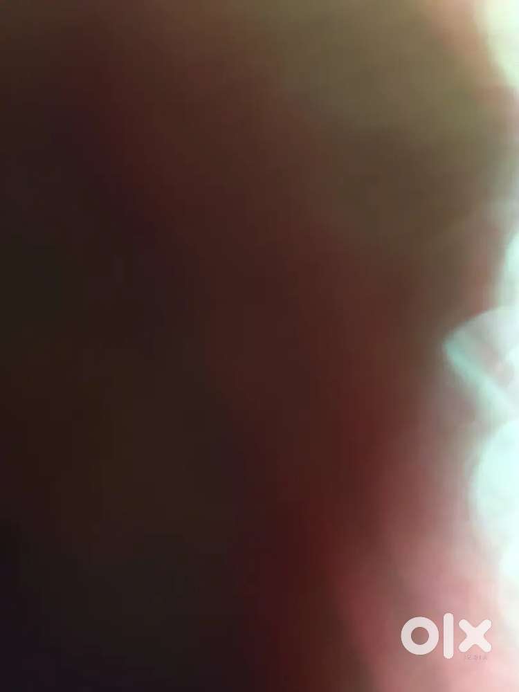 Remote job # commerce background for US accounting # 4 hours /day