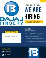 Wanted sales executive