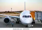 Various Jobs in Airport Ground Staff And Cabin Crew.