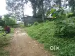 Sreekaryam pothankode manimala kunnu palace near 23cent land