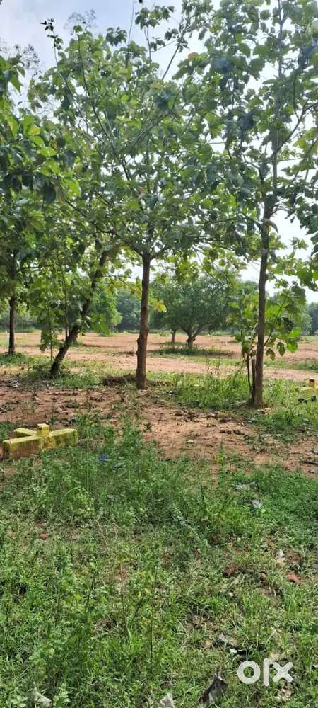 Tamilnadu Knowledge park near