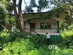 House for rent in anjuna