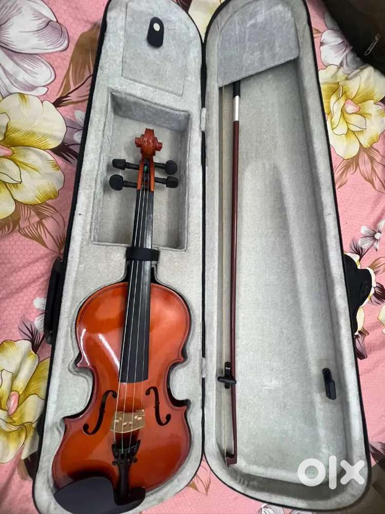 violin with bow and case