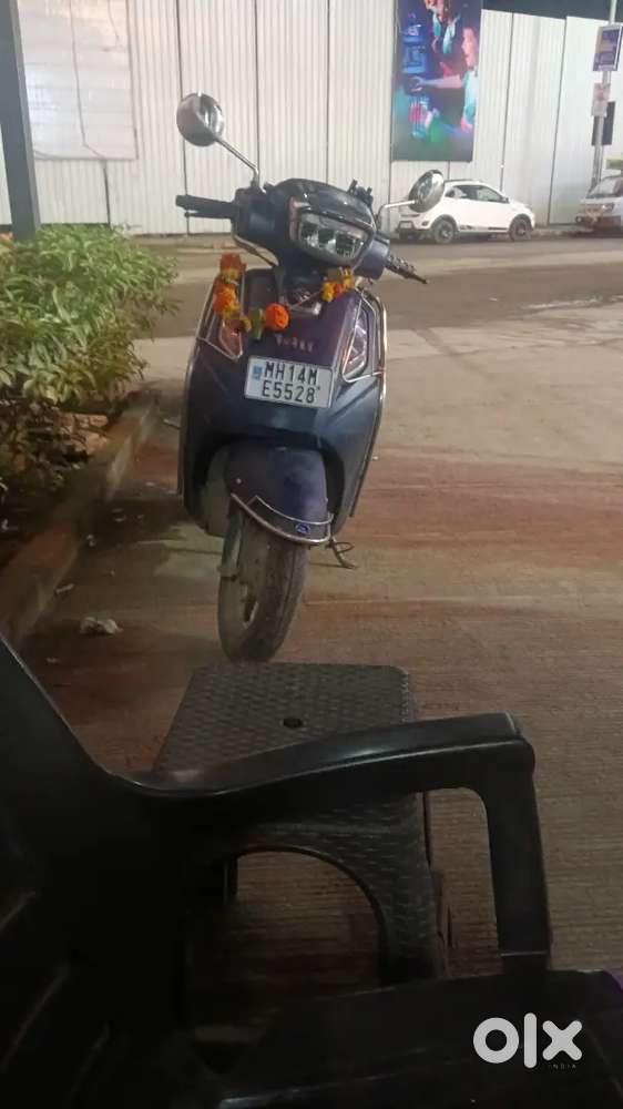 Plejr bikna