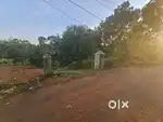 15 cent plot for sale in Kollad - Kottayam