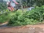 8 cent land just 300 mtr near to Rahmania school medical college