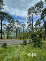 Plot for lease or sale