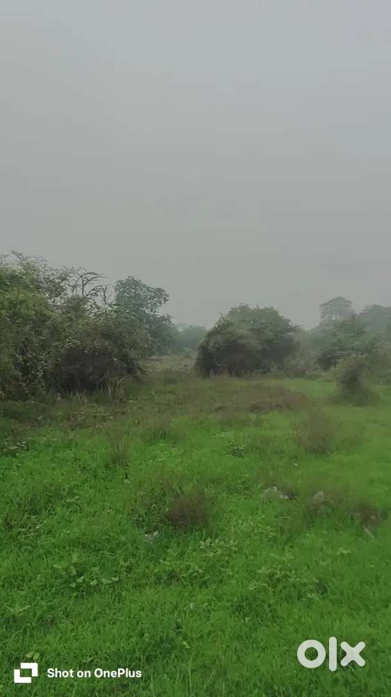 50 gunte BAPGOAN naka land for sale