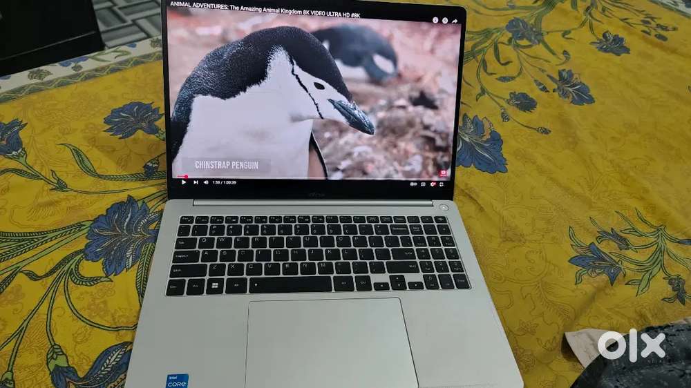 Infinix Y4 max. Core i5 13 gen processor. 16 inch display
