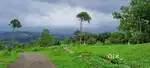 Beautiful hilltop land with view at Rajakad Munnar