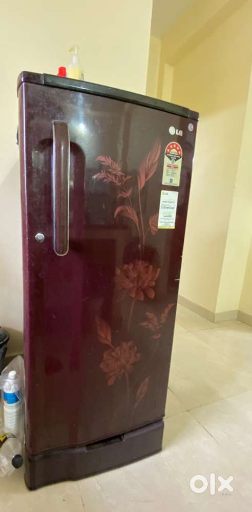 LG 5 star refrigerator with preethi mixer