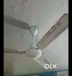 New condition 10 fan,-  per fan price , please time pass nhi kare