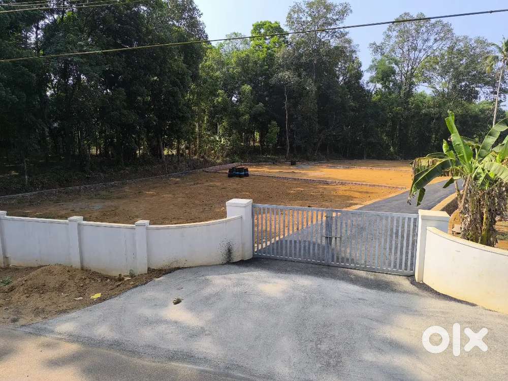 Plots for sale(15,12,8,9,10,10) Kuravilangad, near bus stand