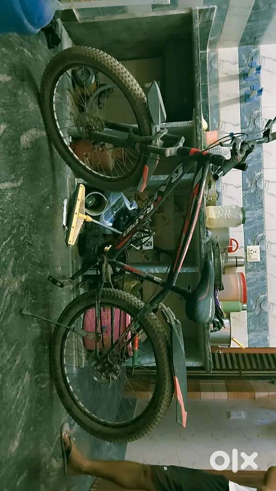 RAPID CYCLES WITH DISBREAKS