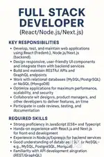 Software developer