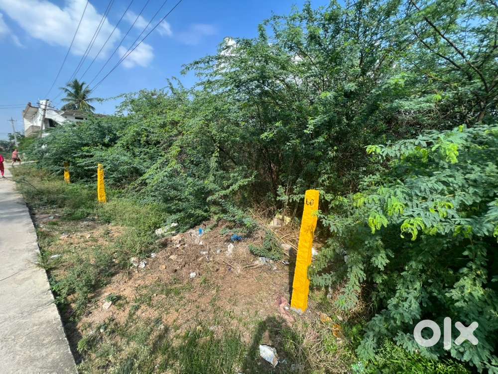 Vacant land for rent