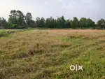 (DIRECT OWNER) COMMERCIAL PLOT FOR URGENT SALE ONLY 1,35,000/KATHA
