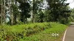 Agriculture land