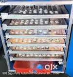 Incubator 500 eggs automatic