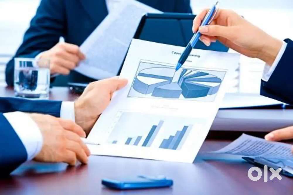 Professional CA Services  Accounting  GST  ITR  ROC  Advisory