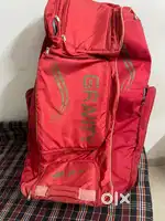 Cricket kit
