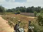 5 சென்ட் வீட்டு மனை ஆனந்த நாடார் குடி