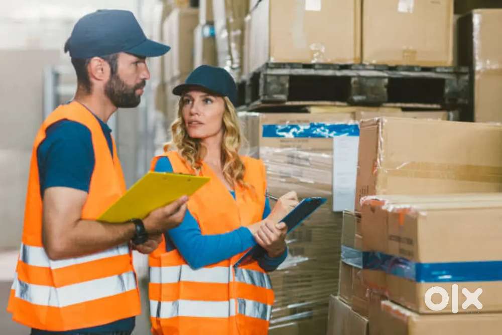 MEDICAL WAREHOUSE PACKING/HELPER/JOB IN WAREHOUSE IN LUCKNOW