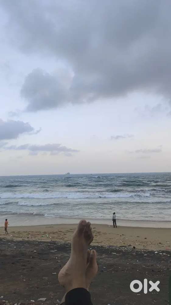 Fruit juice maker and protein shakes, fruit salds