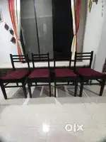 Dinning Chairs