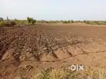 Land for sell and rent