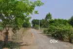 16000/- only sq.yard