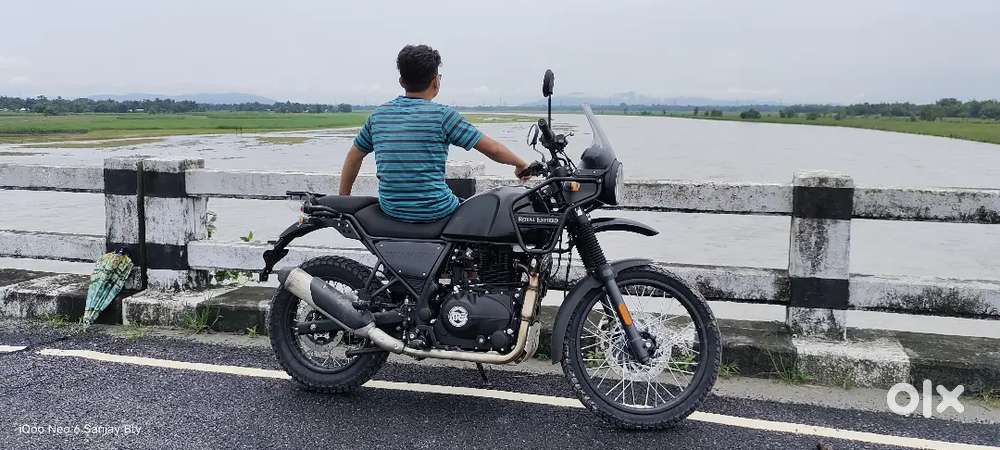 Himalayan 411