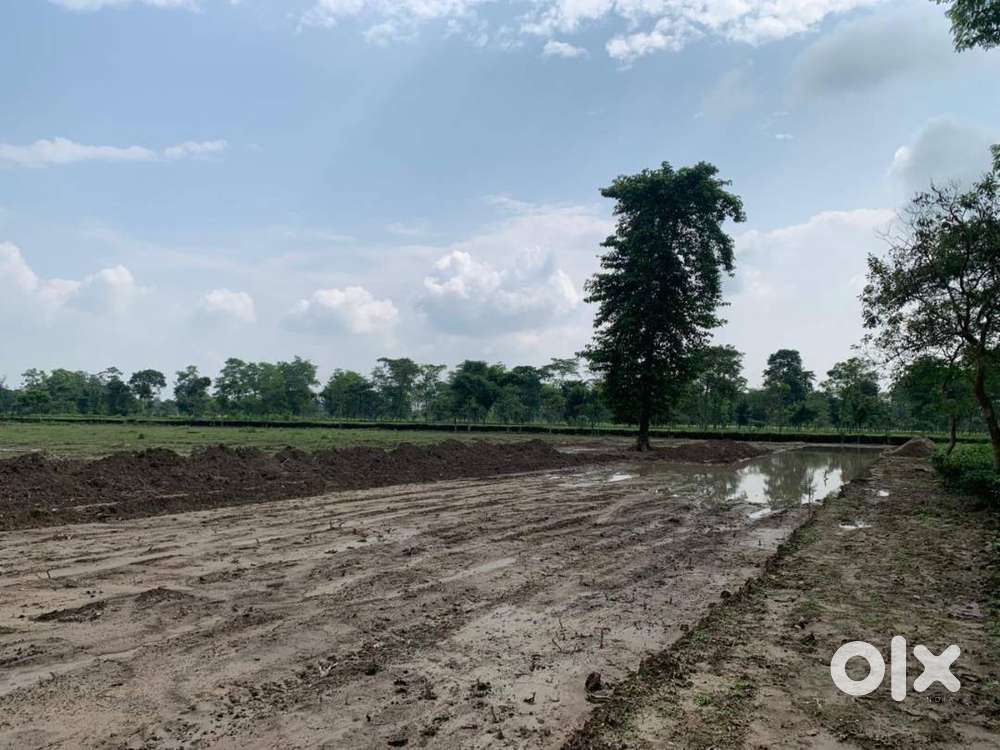 Airport-Connected Township Plots – Vivanta Siliguri