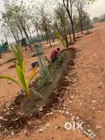 Best plots investment for kids feature