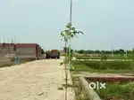 Main Dadri Road पर Ready to Registry Plots