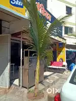 Prime location shop for rent for any kind of business
