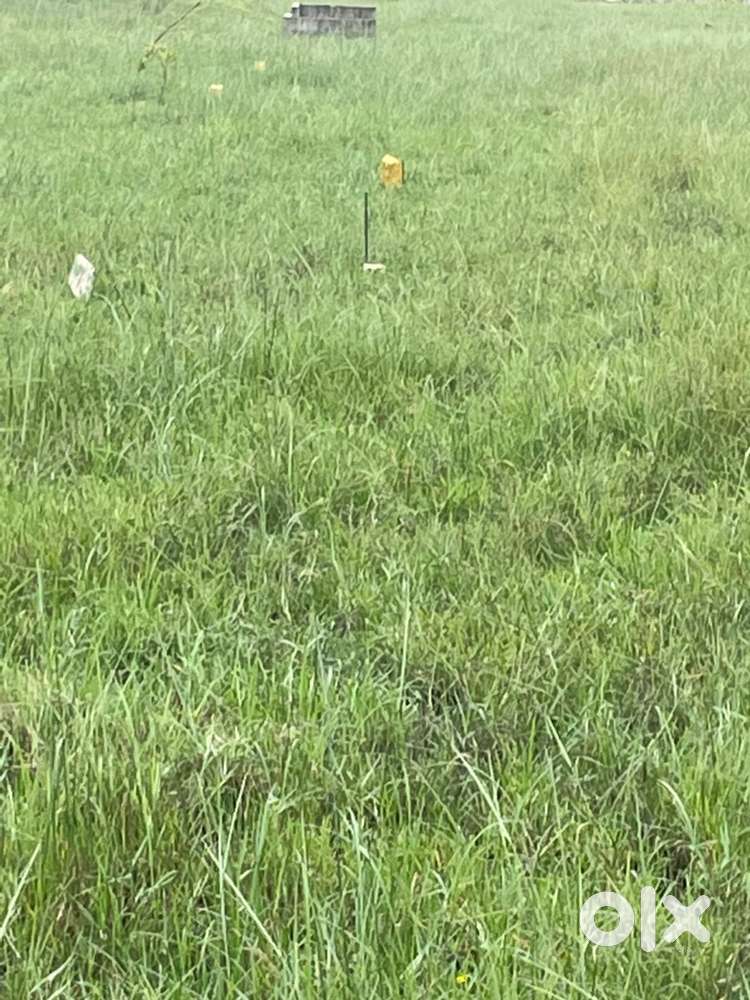 Plot for sale, Jaquar Citty Thirumazhisai  North facing